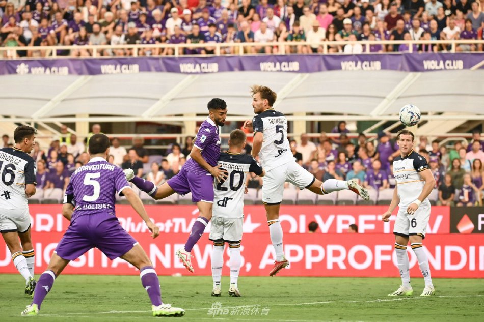 奉献了一场 奉献了一场